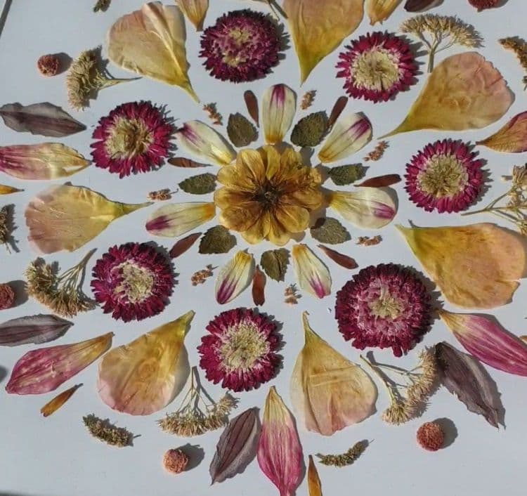 Herbier personnalisé 5