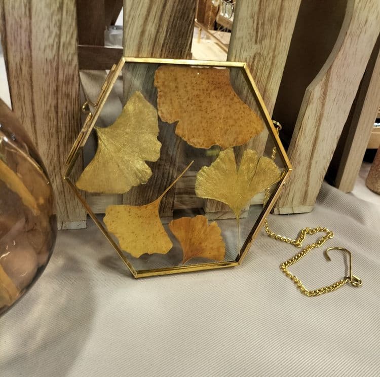 Ginkgo